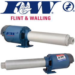 Flint & Walling Pumps Image