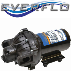 Everflo Pumps Image