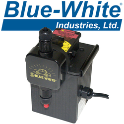 Blue-White Pumps Image